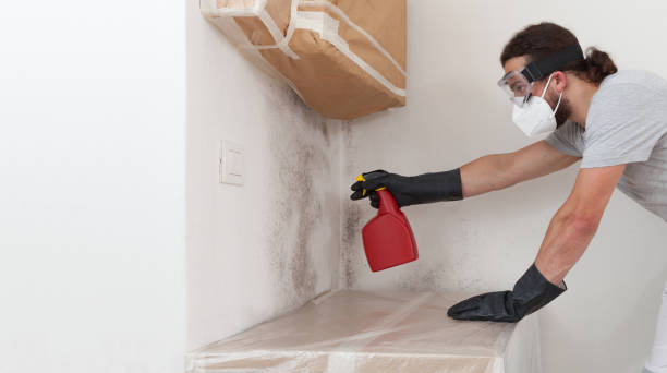 Professional Crawl Space Mold Removal technician working in Babylon, NY